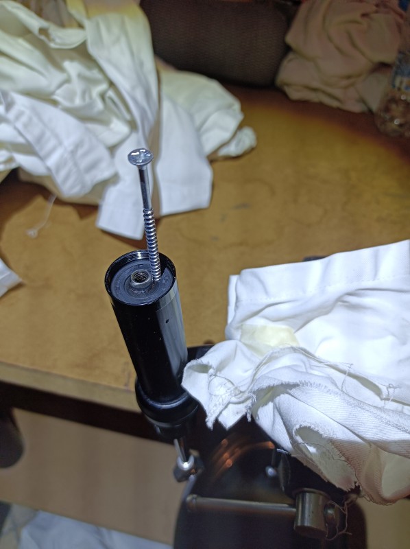 quasi dentista...